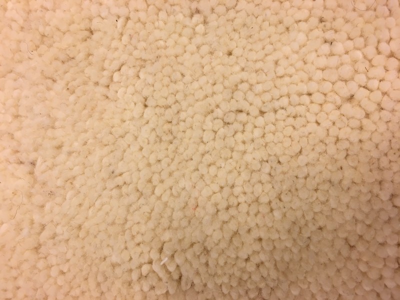 Berber vloerkleden Enkel geknoopt Creme 350x250