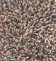 Brink & Campman Flamenco 59005 140x200