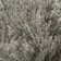 Brinker Arezzo 686 170x230