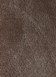 Gelasta Finesse 41 170x230