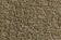 032 Camel