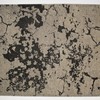Karpi Mart Visser Berger Black Lily 155x230