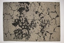 Karpi Mart Visser Berger Black Lily 155x230