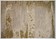 Karpi Mart Visser Cendre Vintage Forest 155x230